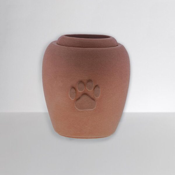Urna o cofre de cremacion para cenizas de mascotas en bogota con diseño personalizado pet
